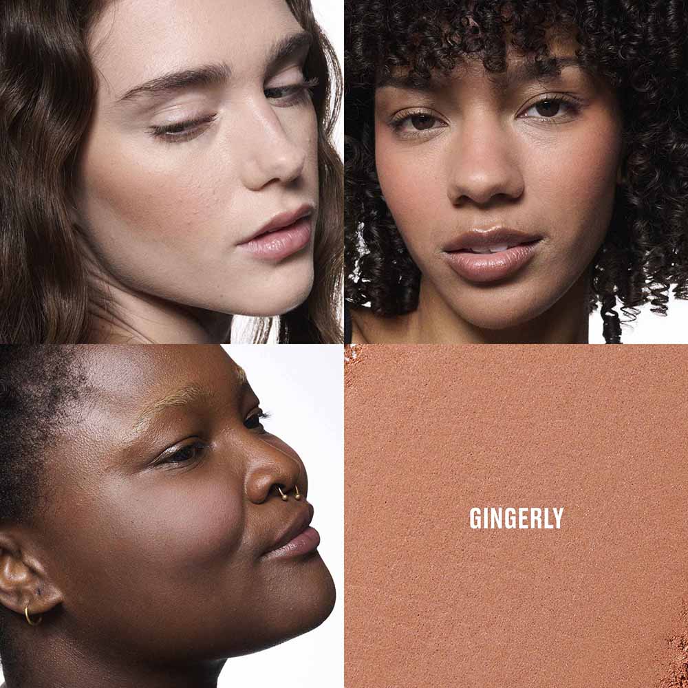 M&middot;A&middot;C SKINFINISH COLOURSTRUCK BLUSH (RUBOR EN POLVO)